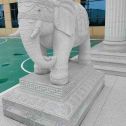 广安 白麻花岗岩动物异形石雕-大象