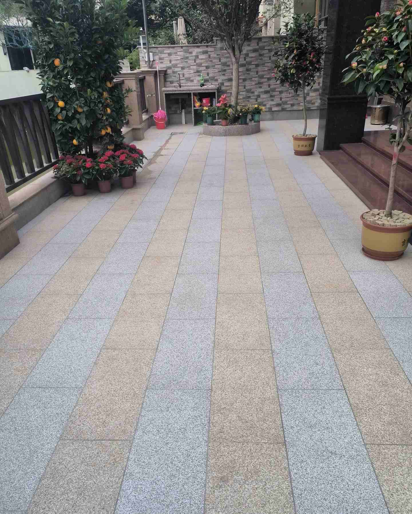 广安 黄金麻白麻荔枝面庭院铺装展示